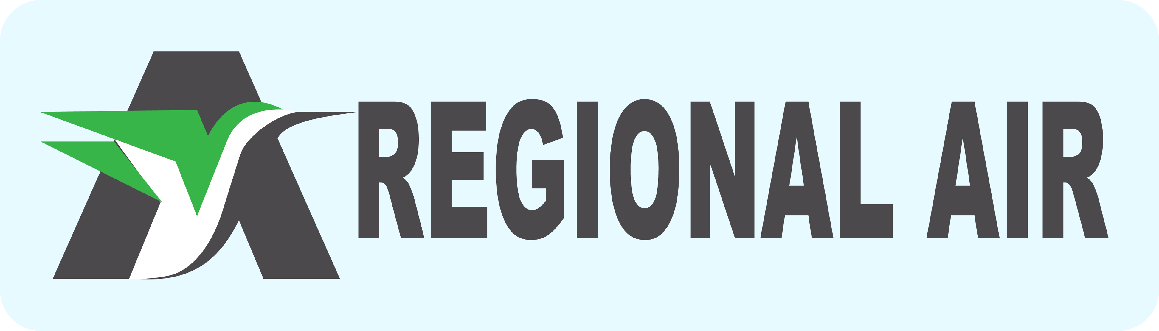 Regional Air Services