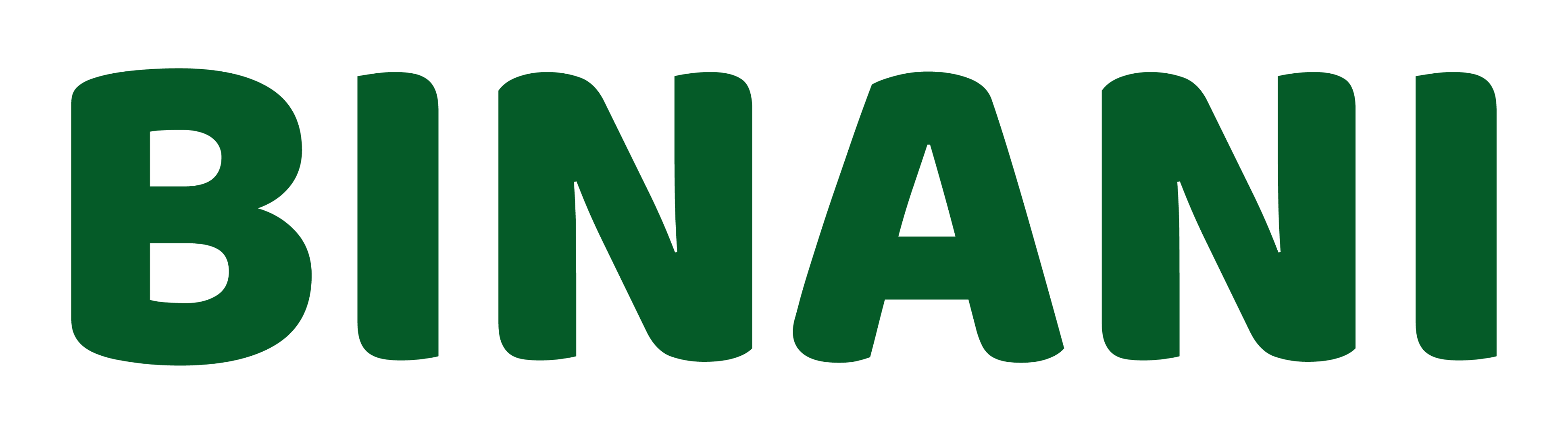 Nomad Aviation