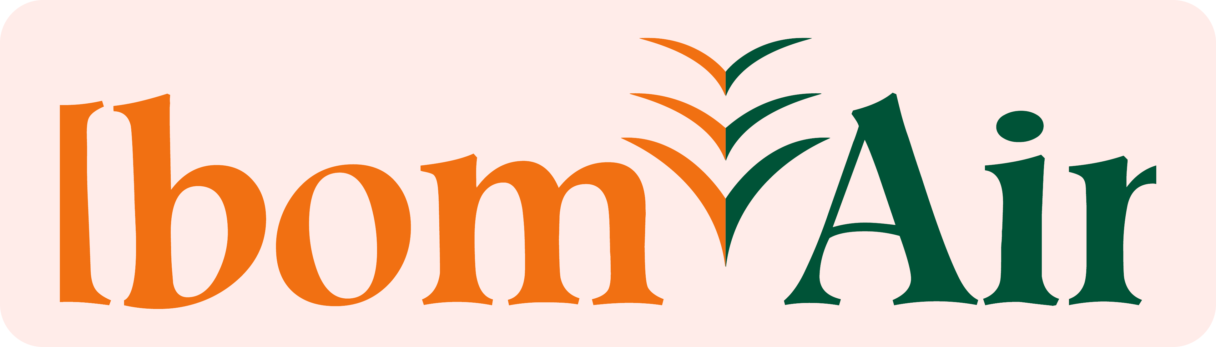 Ibom Air